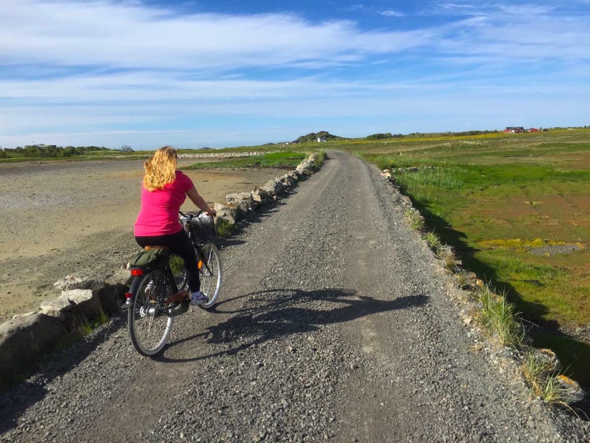 Elstad Farm Lofoten Bostad Zewnętrze zdjęcie